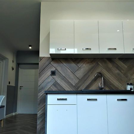 Apartament Lucy - Scisle Centrum Czestochowy ブィドゴシュチュ エクステリア 写真