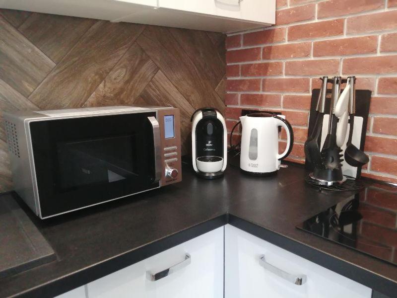 Apartament Lucy - Scisle Centrum Czestochowy ブィドゴシュチュ エクステリア 写真