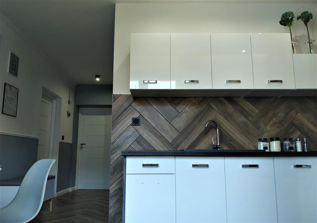Apartament Lucy - Scisle Centrum Czestochowy ブィドゴシュチュ エクステリア 写真