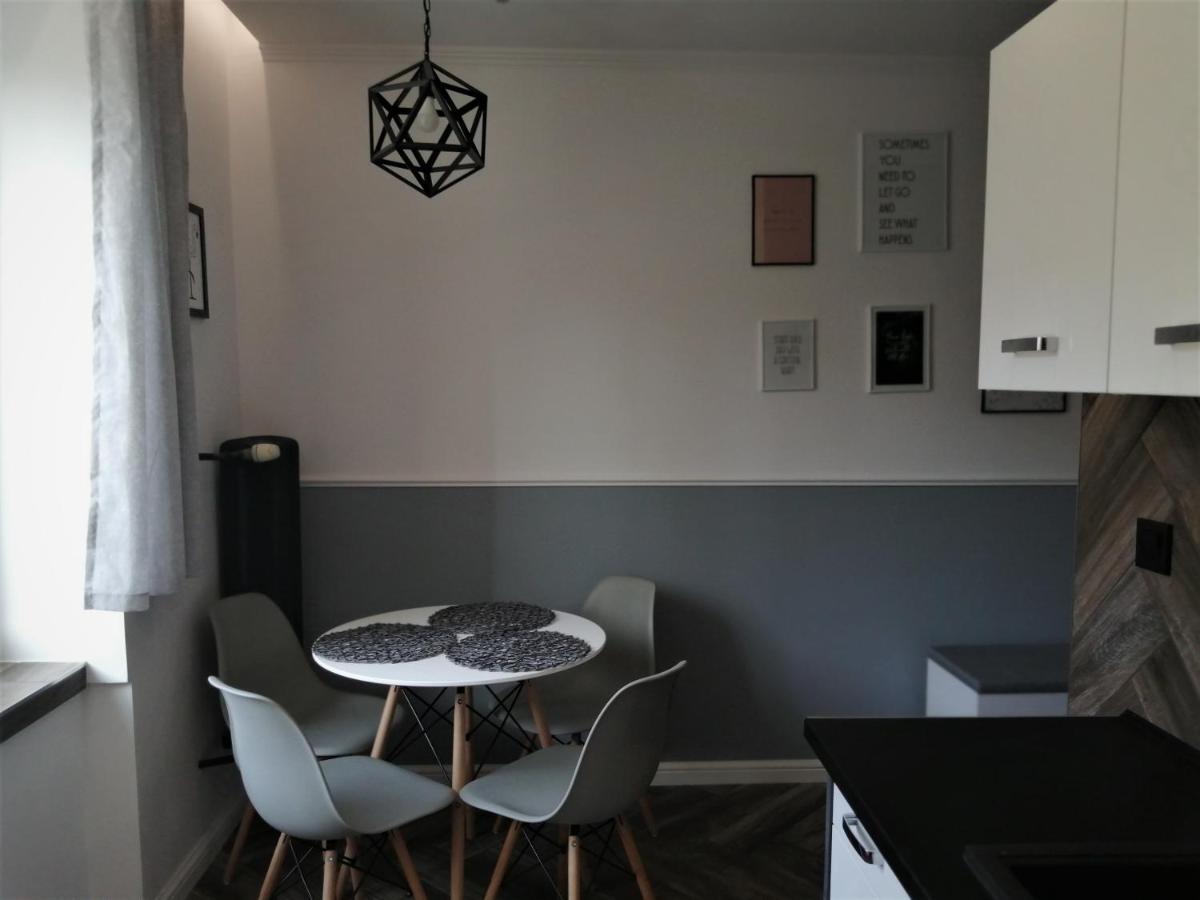 Apartament Lucy - Scisle Centrum Czestochowy ブィドゴシュチュ エクステリア 写真